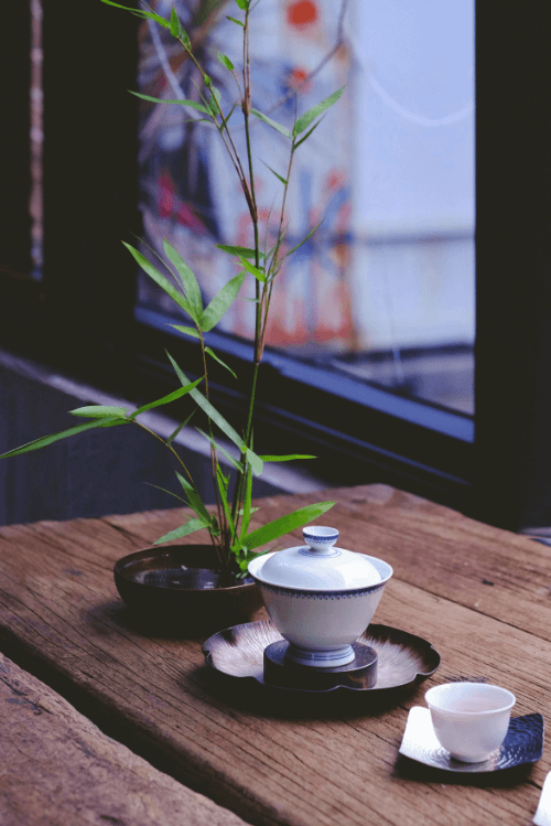 Tea cup and pot with plant, a serene tea setting.